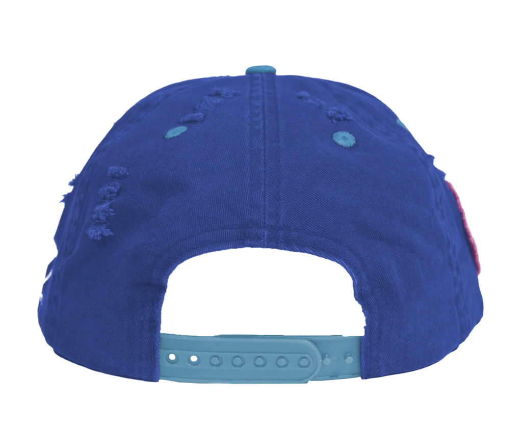 UP7SKATE BLUE STRIP INTL STREET TEAM HAT